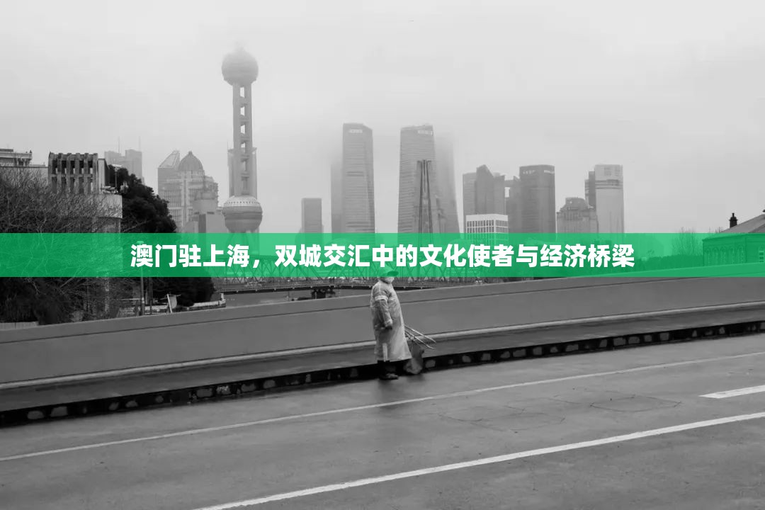 澳门驻上海，双城交汇中的文化使者与经济桥梁