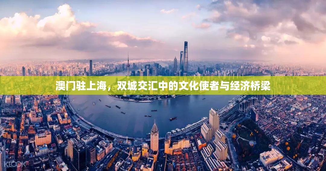 澳门驻上海，双城交汇中的文化使者与经济桥梁