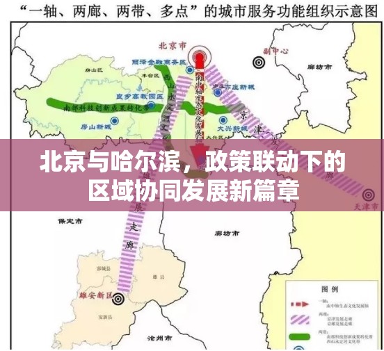 北京与哈尔滨，政策联动下的区域协同发展新篇章