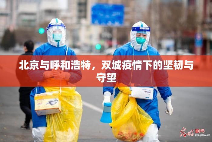 北京与呼和浩特，双城疫情下的坚韧与守望