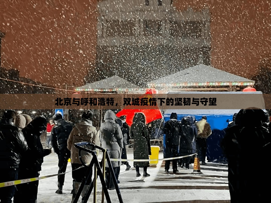 北京与呼和浩特，双城疫情下的坚韧与守望