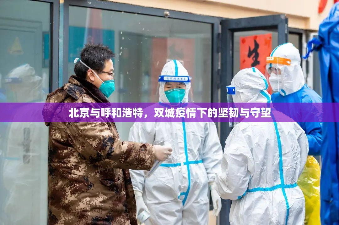 北京与呼和浩特，双城疫情下的坚韧与守望