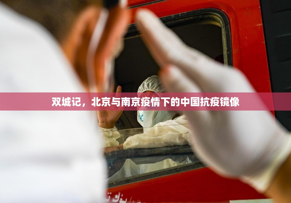 双城记，北京与南京疫情下的中国抗疫镜像
