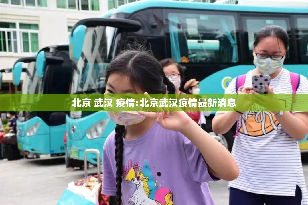 北京 武汉 疫情:北京武汉疫情最新消息