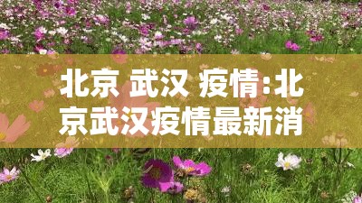 北京 武汉 疫情:北京武汉疫情最新消息