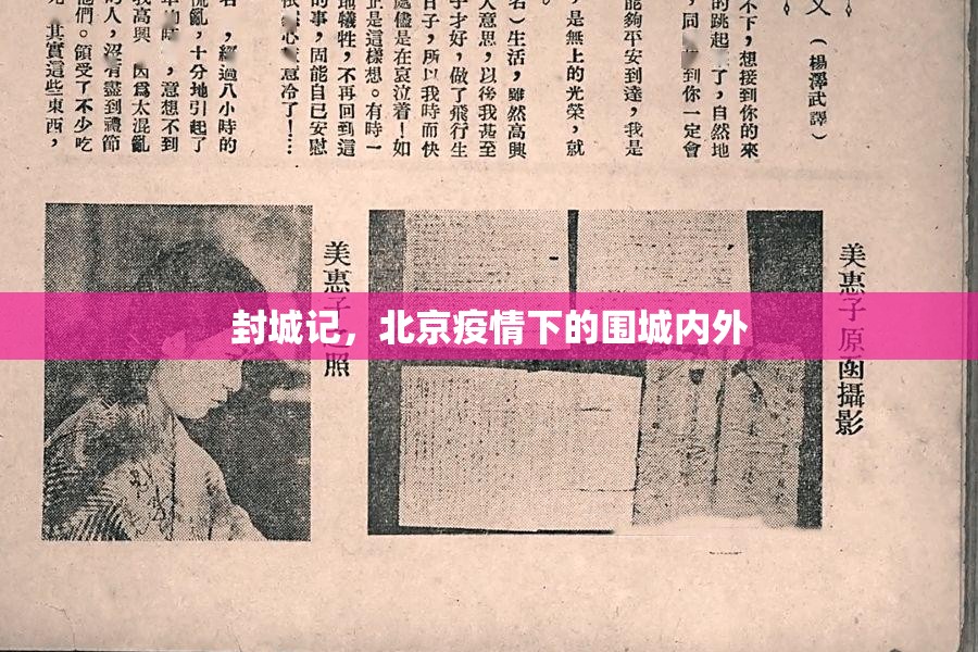 封城记，北京疫情下的围城内外