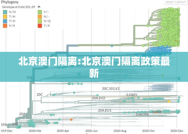 北京澳门隔离:北京澳门隔离政策最新