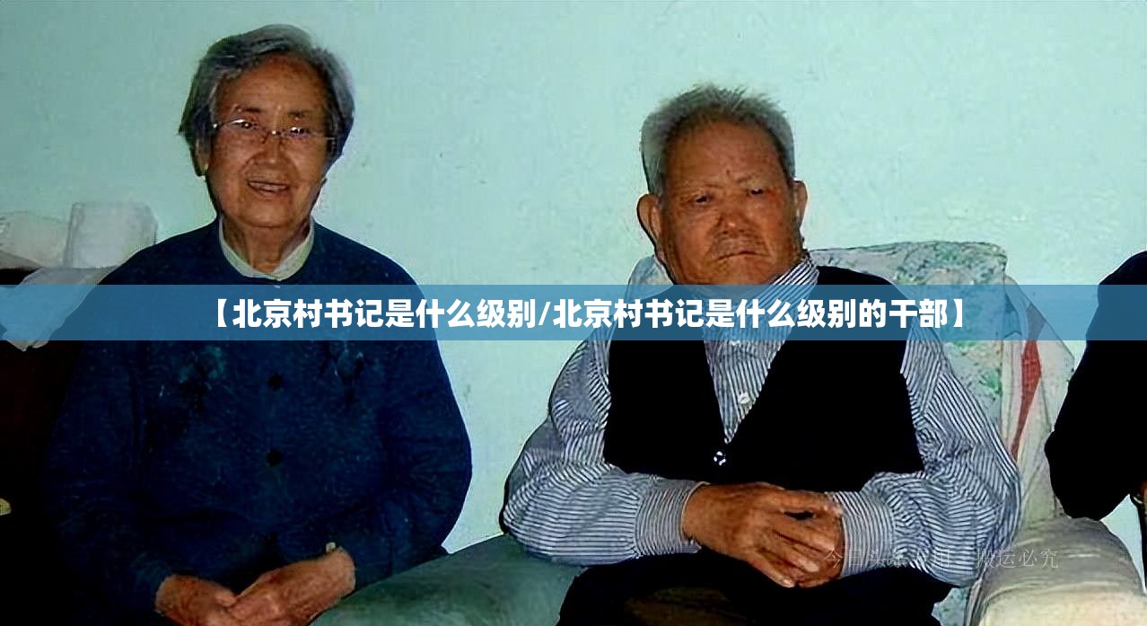 【北京村书记是什么级别/北京村书记是什么级别的干部】