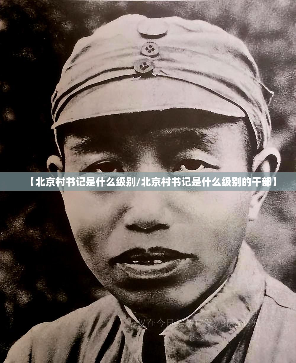 【北京村书记是什么级别/北京村书记是什么级别的干部】