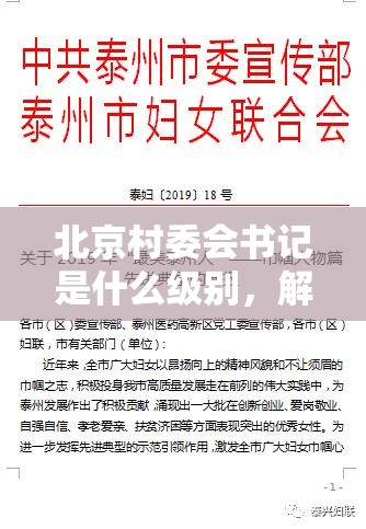 北京村委会书记是什么级别，解析基层治理中的角色与定位