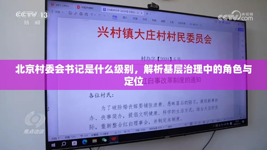 北京村委会书记是什么级别，解析基层治理中的角色与定位