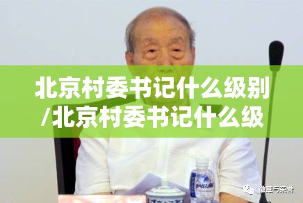 北京村委书记什么级别/北京村委书记什么级别的