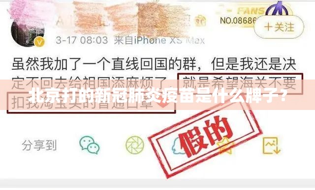 北京打的新冠肺炎疫苗是什么牌子？