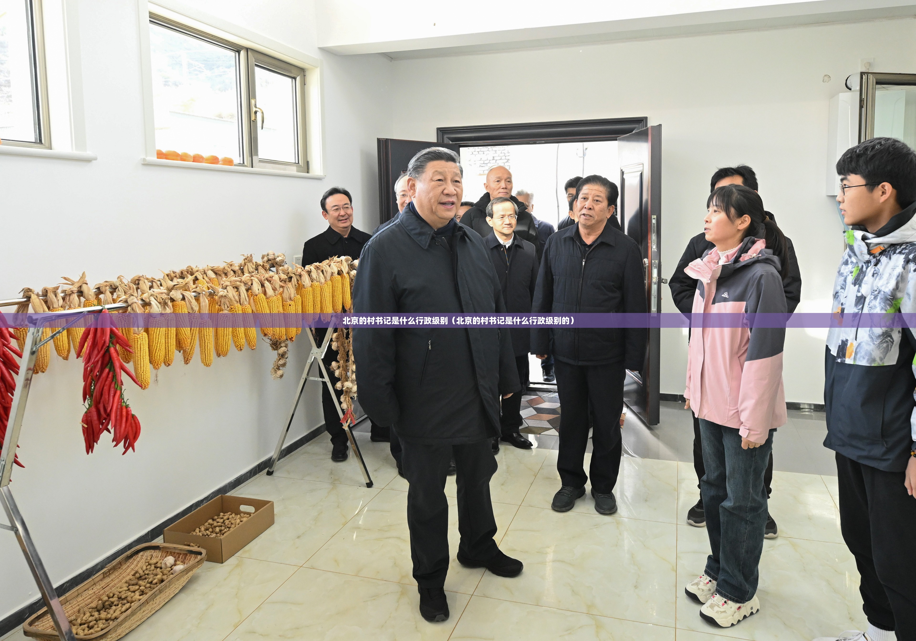 北京的村书记是什么行政级别（北京的村书记是什么行政级别的）