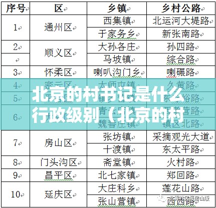 北京的村书记是什么行政级别（北京的村书记是什么行政级别的）