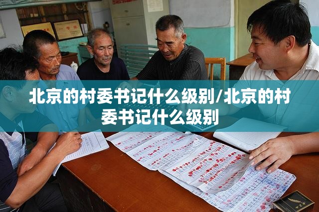 北京的村委书记什么级别/北京的村委书记什么级别