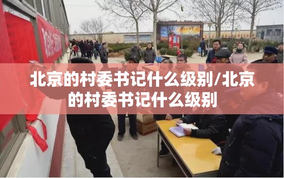 北京的村委书记什么级别/北京的村委书记什么级别
