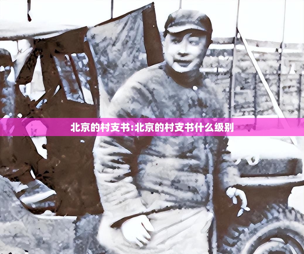 北京的村支书:北京的村支书什么级别