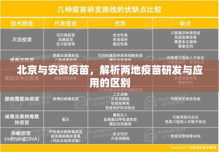 北京与安徽疫苗，解析两地疫苗研发与应用的区别