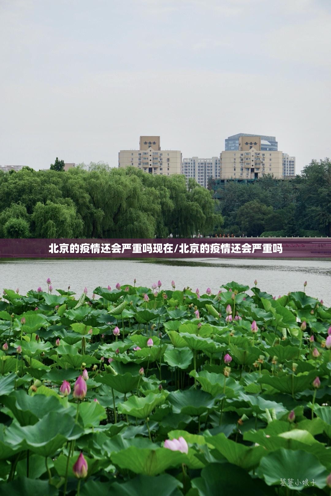 北京的疫情还会严重吗现在/北京的疫情还会严重吗