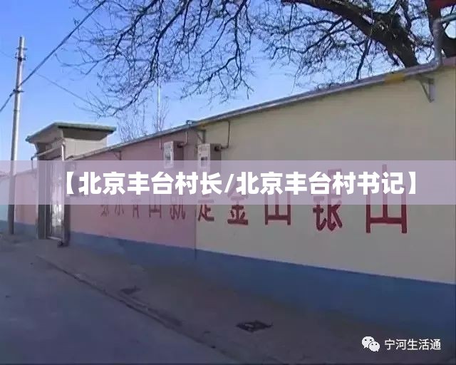 【北京丰台村长/北京丰台村书记】