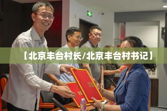 【北京丰台村长/北京丰台村书记】