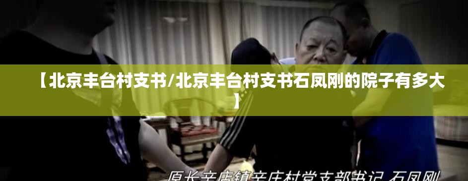 【北京丰台村支书/北京丰台村支书石凤刚的院子有多大】