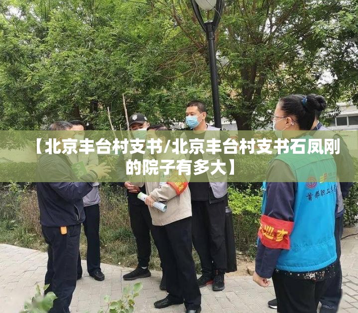 【北京丰台村支书/北京丰台村支书石凤刚的院子有多大】