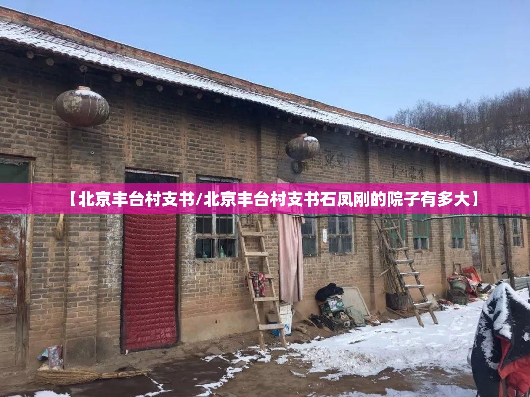 【北京丰台村支书/北京丰台村支书石凤刚的院子有多大】
