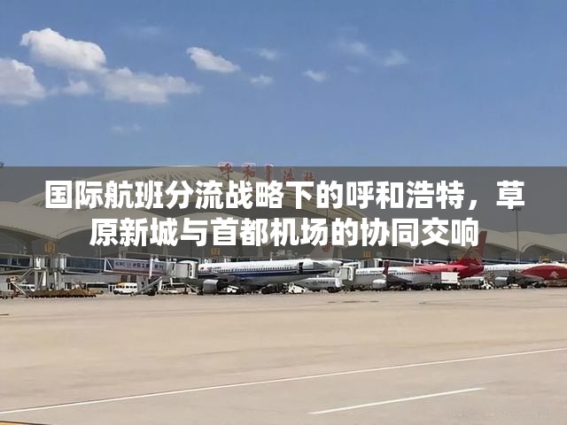 国际航班分流战略下的呼和浩特，草原新城与首都机场的协同交响