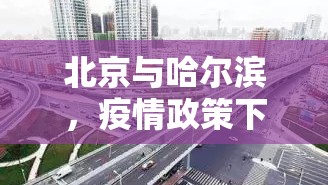 北京与哈尔滨，疫情政策下的双城镜像与治理智慧