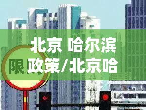 北京 哈尔滨政策/北京哈尔滨政策