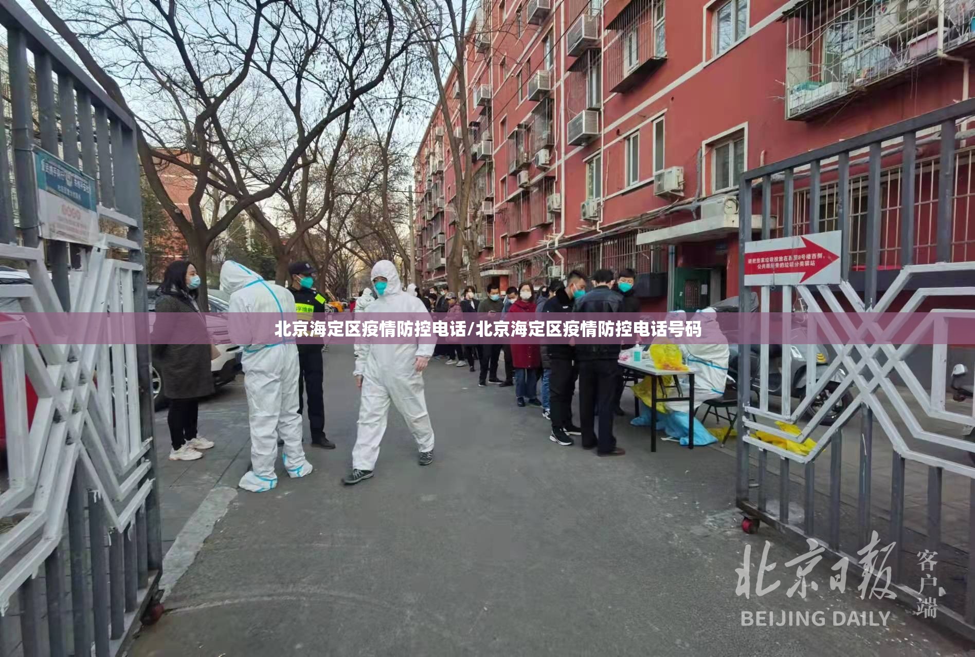 北京海定区疫情防控电话/北京海定区疫情防控电话号码