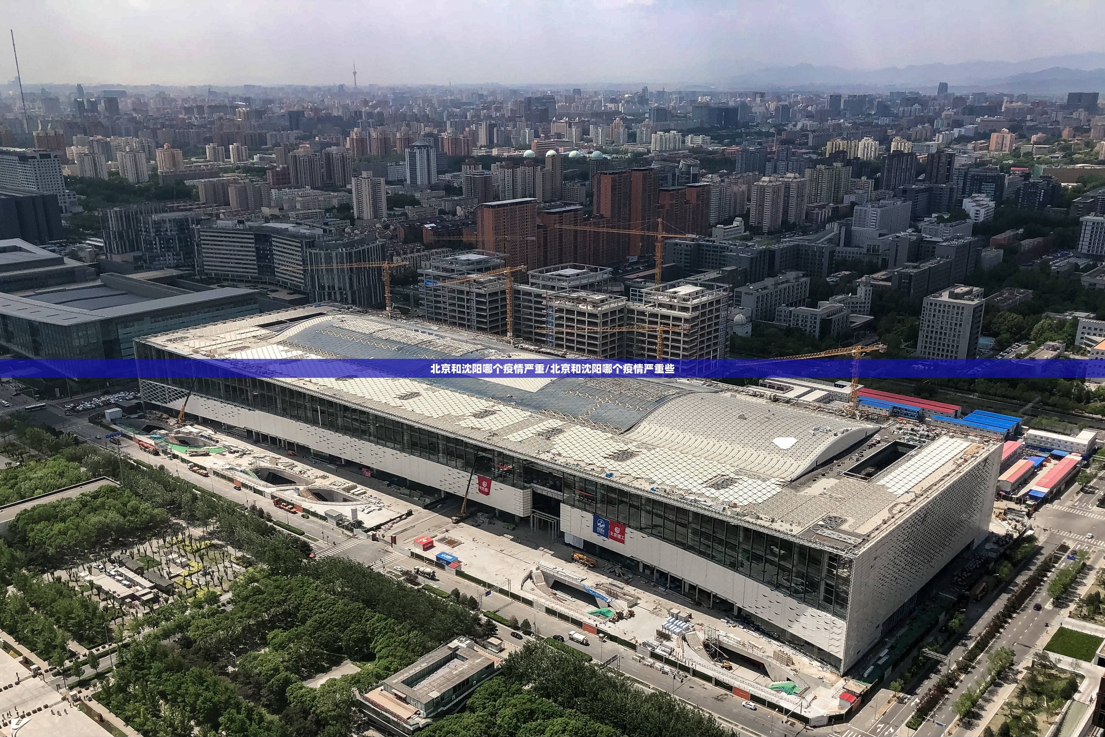 北京和沈阳哪个疫情严重/北京和沈阳哪个疫情严重些
