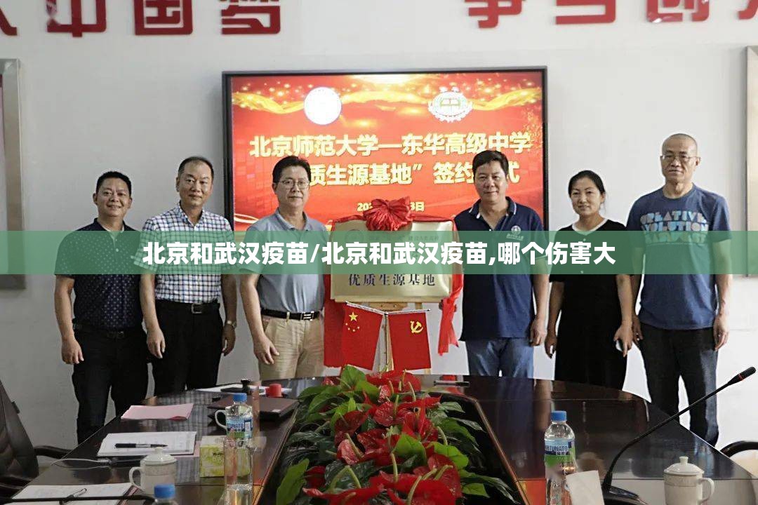 北京和武汉疫苗/北京和武汉疫苗,哪个伤害大