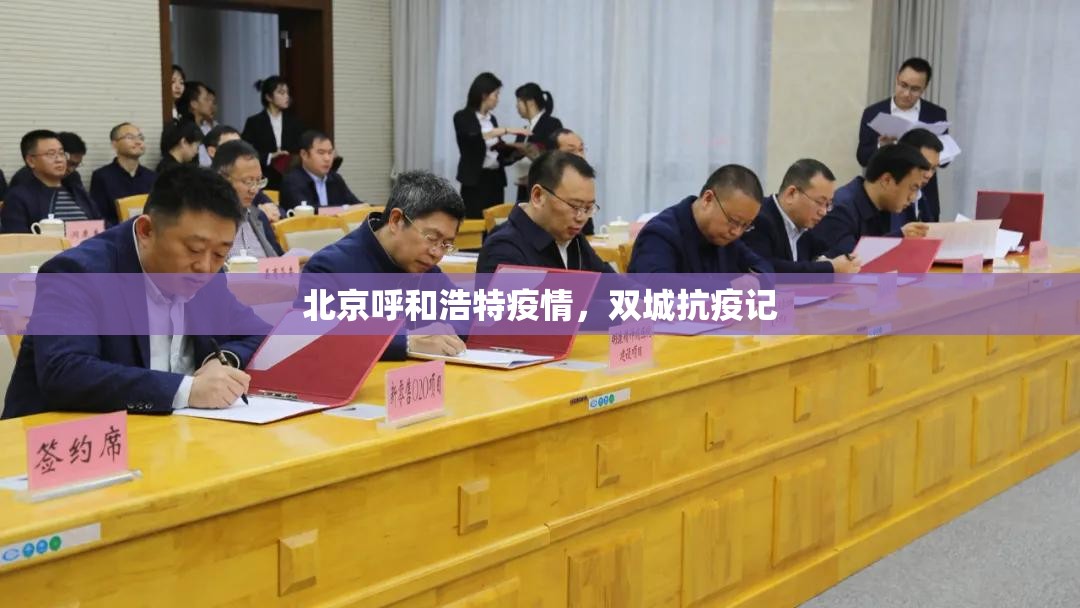 北京呼和浩特疫情，双城抗疫记