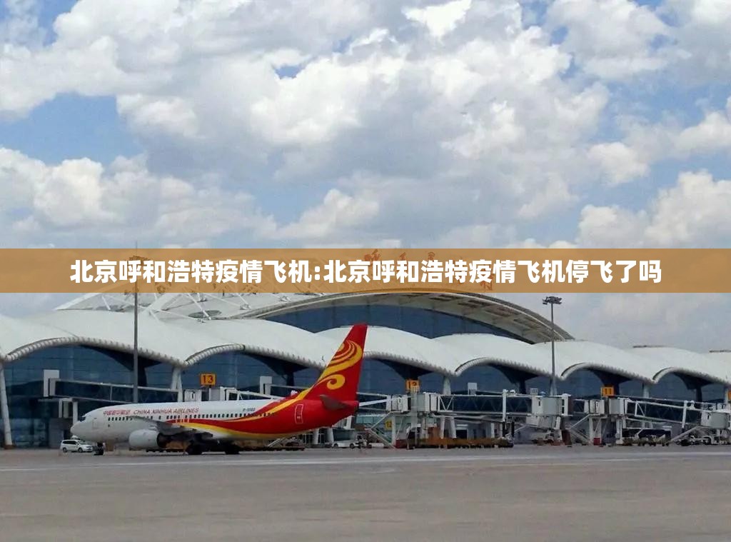 北京呼和浩特疫情飞机:北京呼和浩特疫情飞机停飞了吗