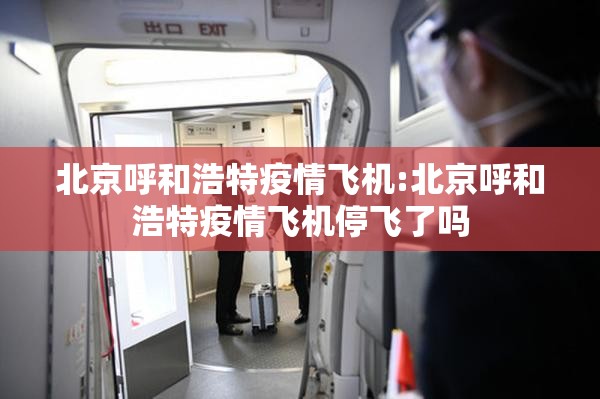 北京呼和浩特疫情飞机:北京呼和浩特疫情飞机停飞了吗