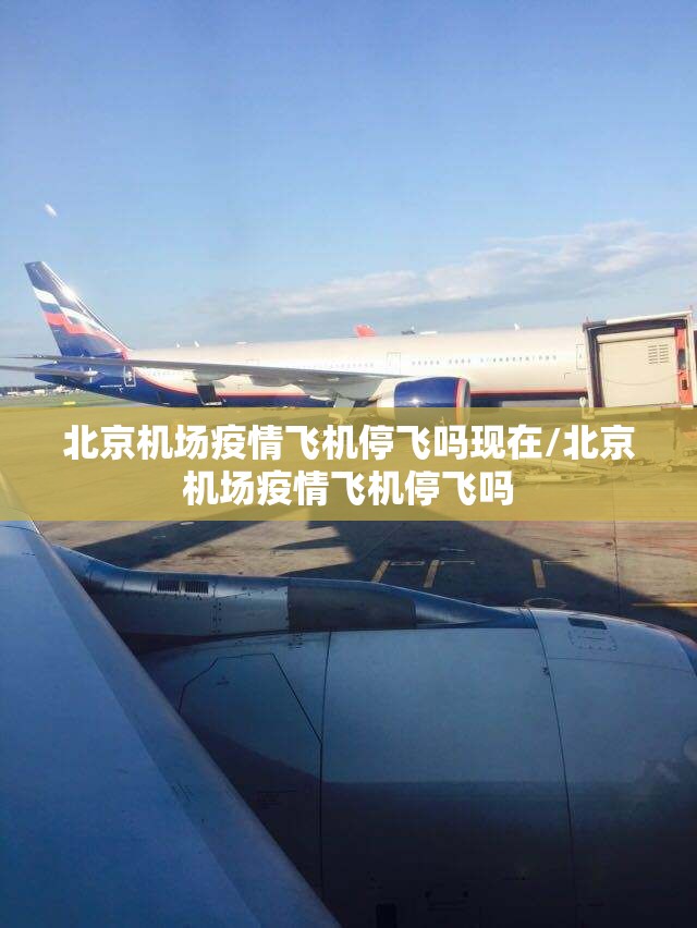 北京机场疫情飞机停飞吗现在/北京机场疫情飞机停飞吗