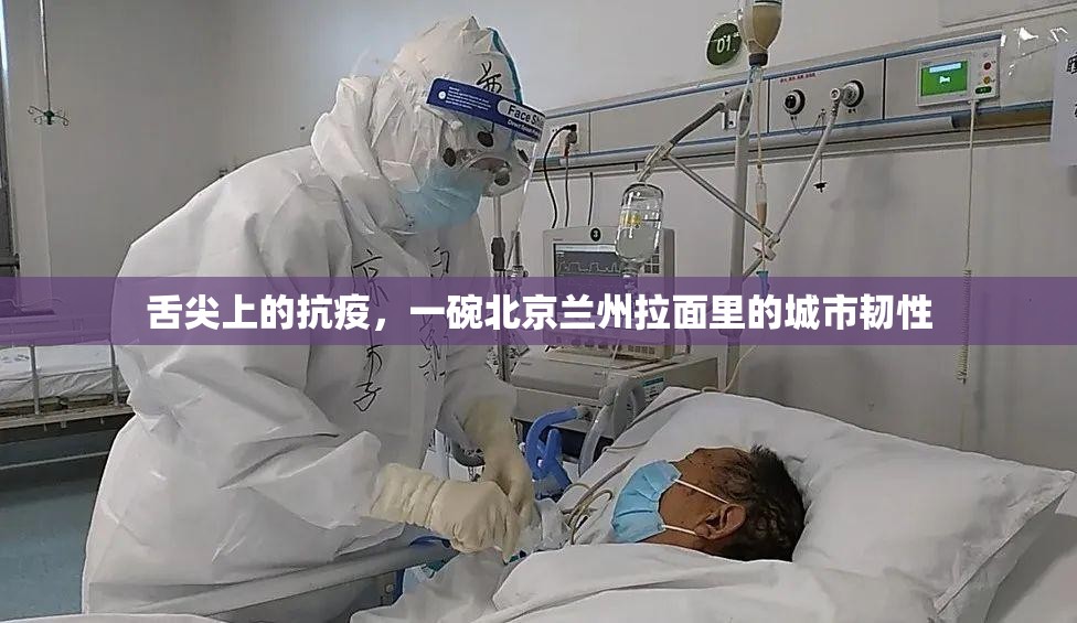 舌尖上的抗疫，一碗北京兰州拉面里的城市韧性