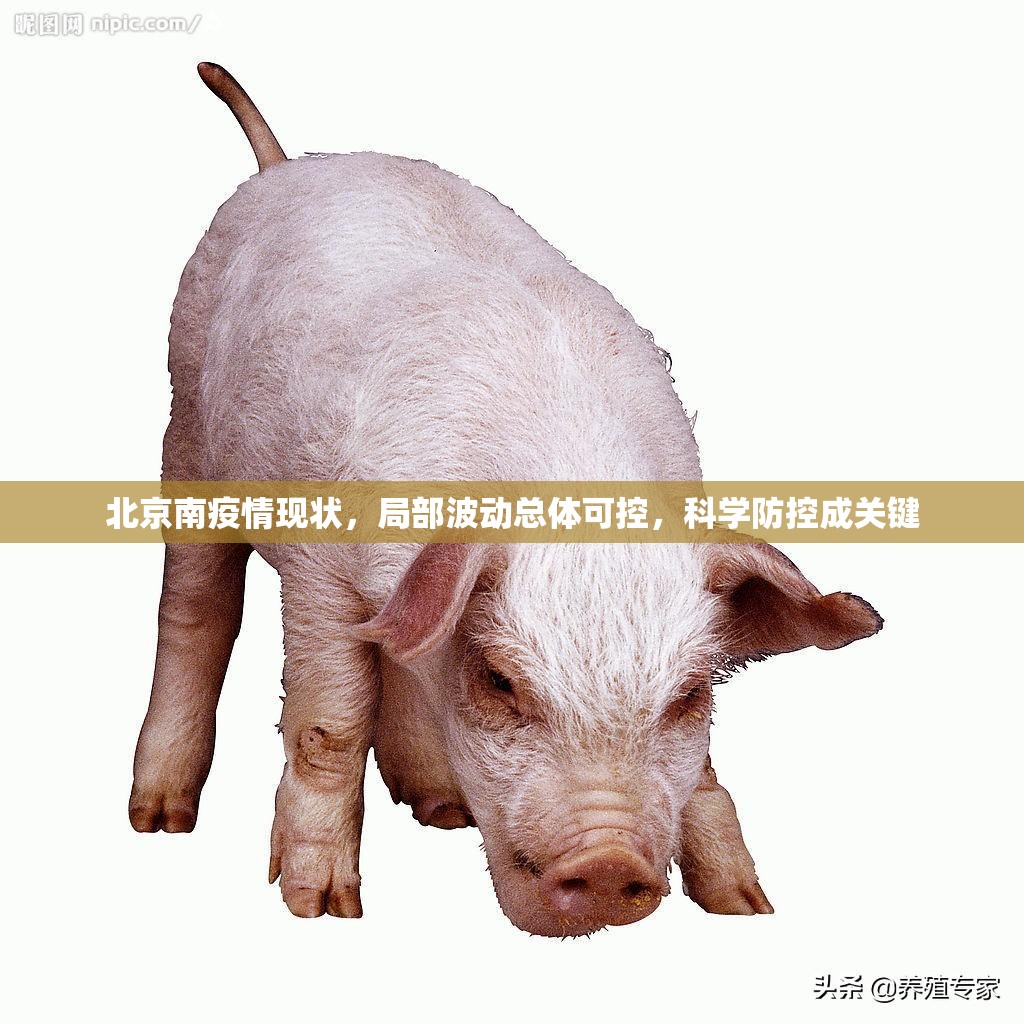 北京南疫情现状，局部波动总体可控，科学防控成关键
