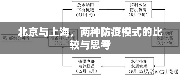 北京与上海，两种防疫模式的比较与思考