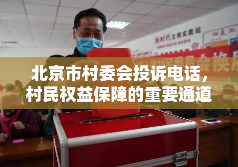 北京市村委会投诉电话，村民权益保障的重要通道