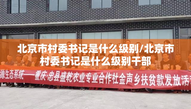 北京市村委书记是什么级别/北京市村委书记是什么级别干部