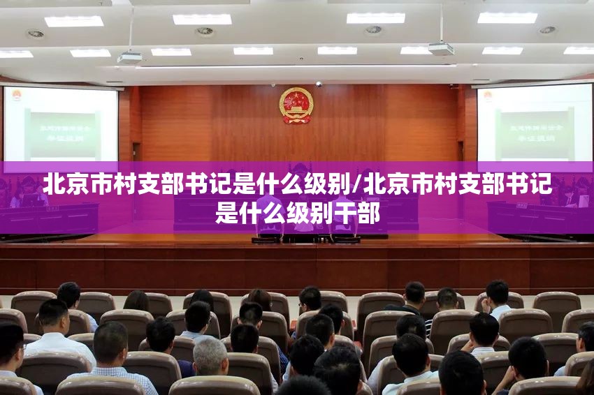北京市村支部书记是什么级别/北京市村支部书记是什么级别干部