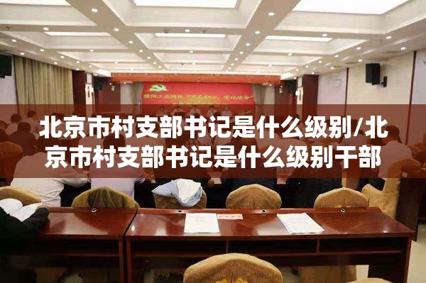 北京市村支部书记是什么级别/北京市村支部书记是什么级别干部