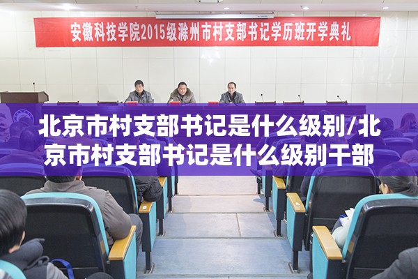 北京市村支部书记是什么级别/北京市村支部书记是什么级别干部