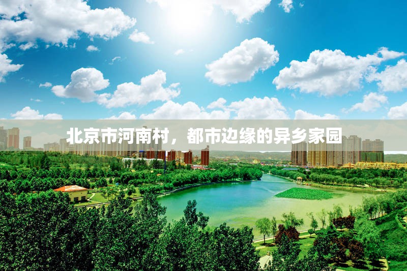 北京市河南村，都市边缘的异乡家园