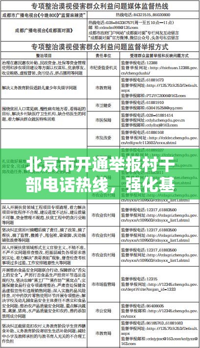 北京市开通举报村干部电话热线，强化基层权力监督