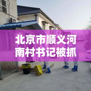 北京市顺义河南村书记被抓/北京市顺义区河南村书记